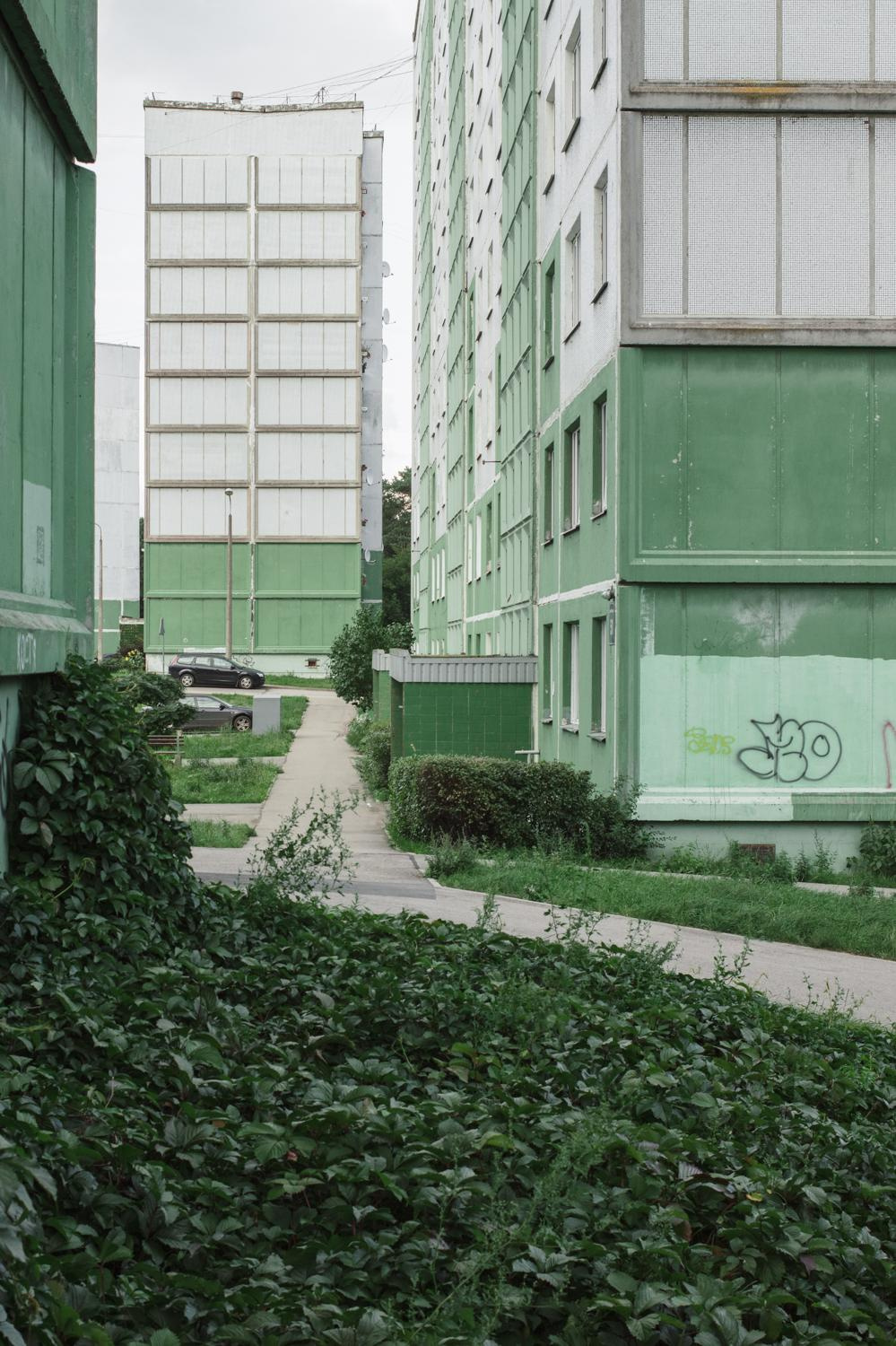 Arcadia. Anastasia Tsayder