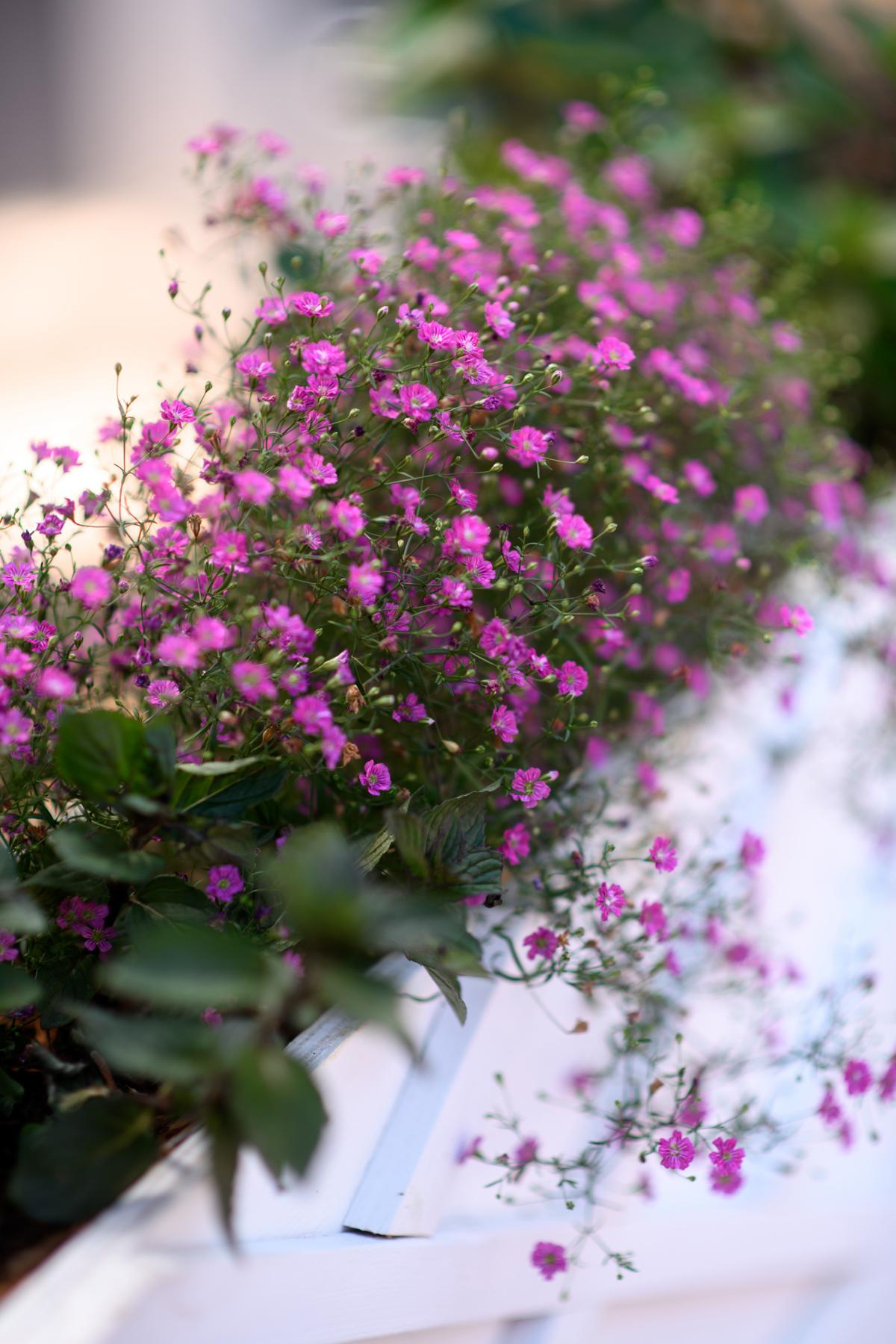 Алина закончила школу. Фототуры, обучение, фотограф Анастасия Забелина в Крыму и Севастополе