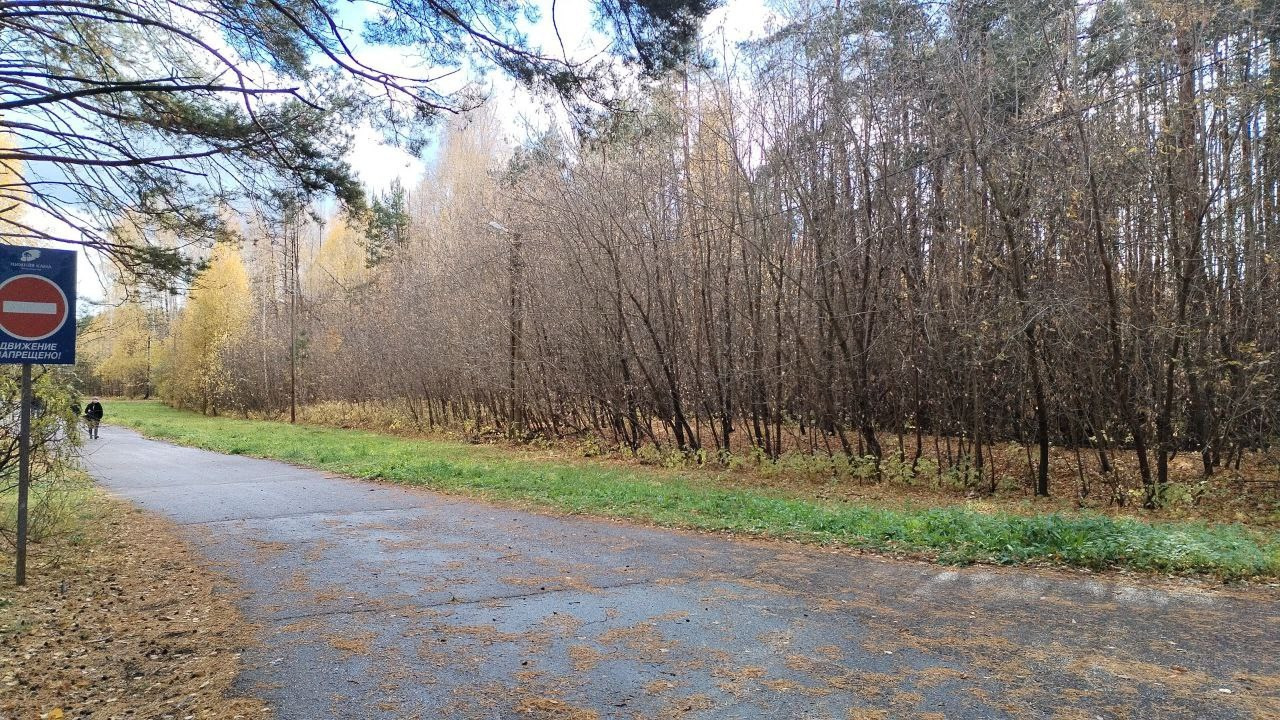 Лесная пешеходная дорожка осенью, деревья без листвы и дорожный знак сбоку