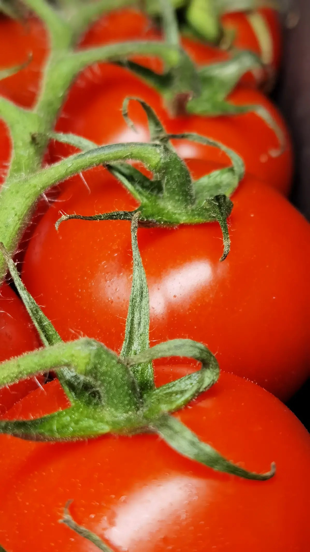 МК Мобильная фотография. Арт-фотограф Крис Л. в Тобольске: портрет, семейные, свадьбы