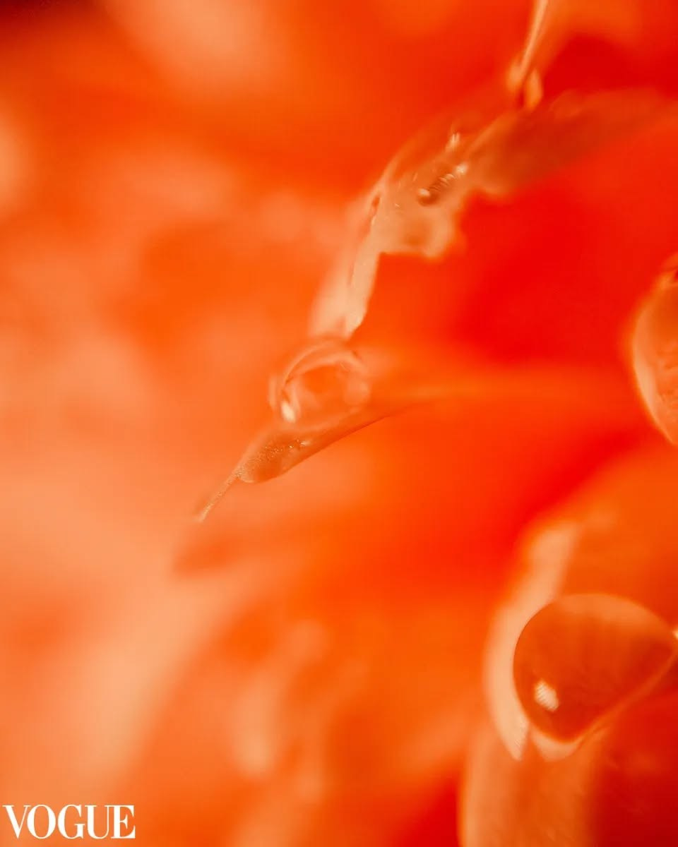 Фотограф из Санкт-Петербурга/Катерина Зайцева