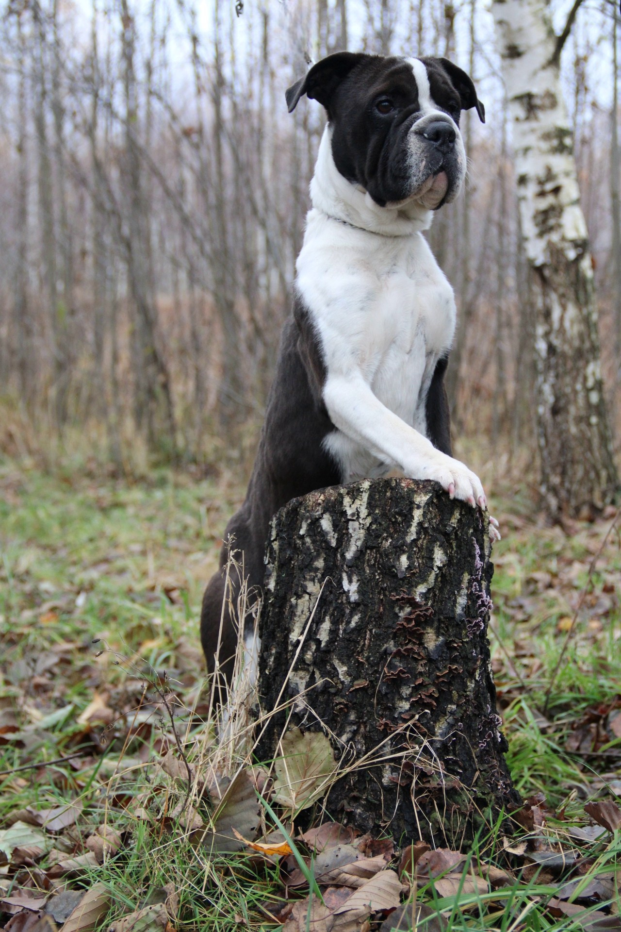 Катя Попова|ЛайфСтайл фотограф