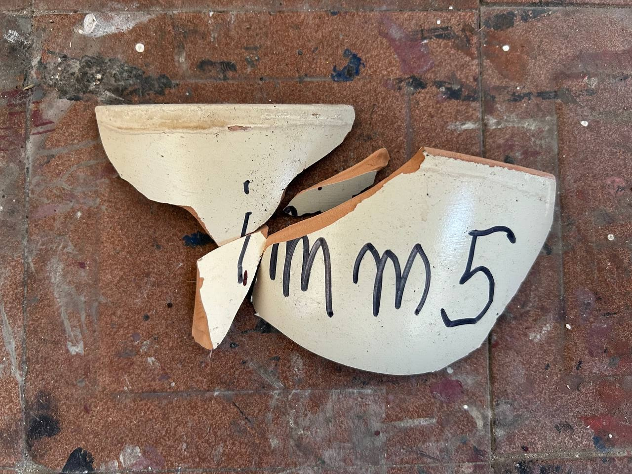 «Чуже Странцы». Лилия Ким. Междисциплинарный художник