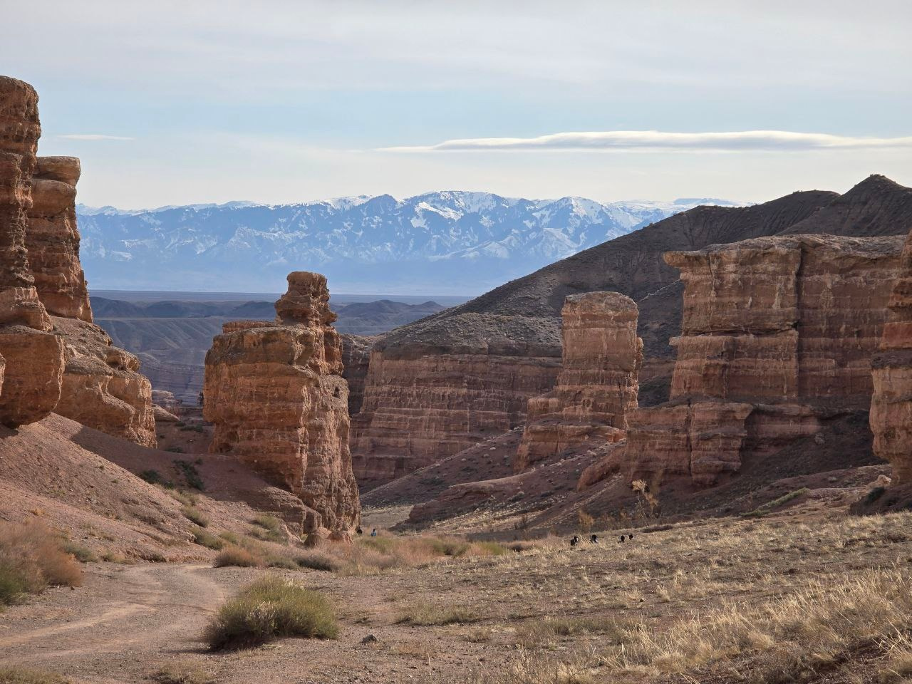 Экскурсия и тур в Чарынский каньон в Алматы