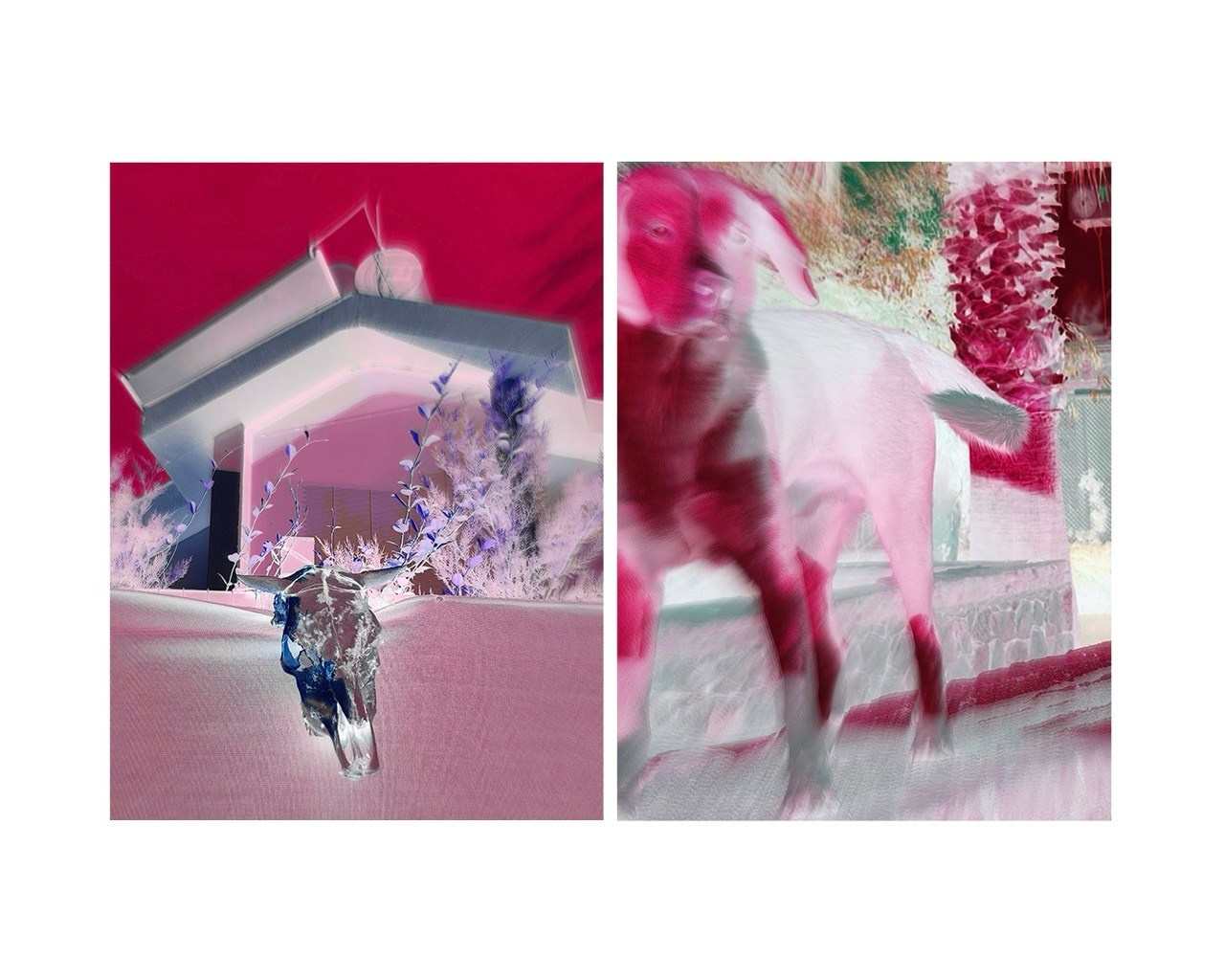 DIPTYCH STORY. VISUAL ARTIST