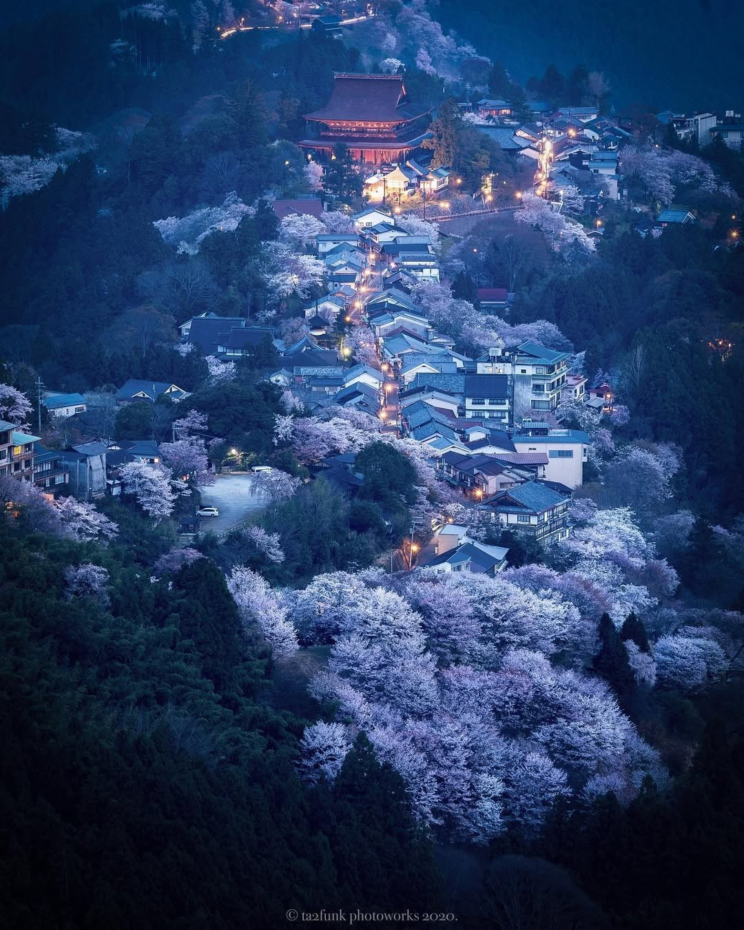 Japan in Sakura time, 7-14 April 2026. Alexkrepak