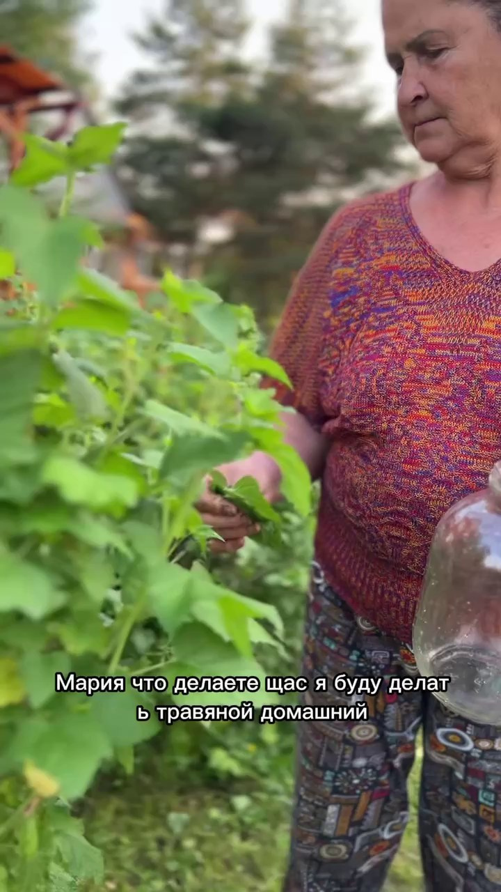 Травяной квас как сделать. Эко отдых в Подмосковье в эко-отеле Марии Гиппенрейтер