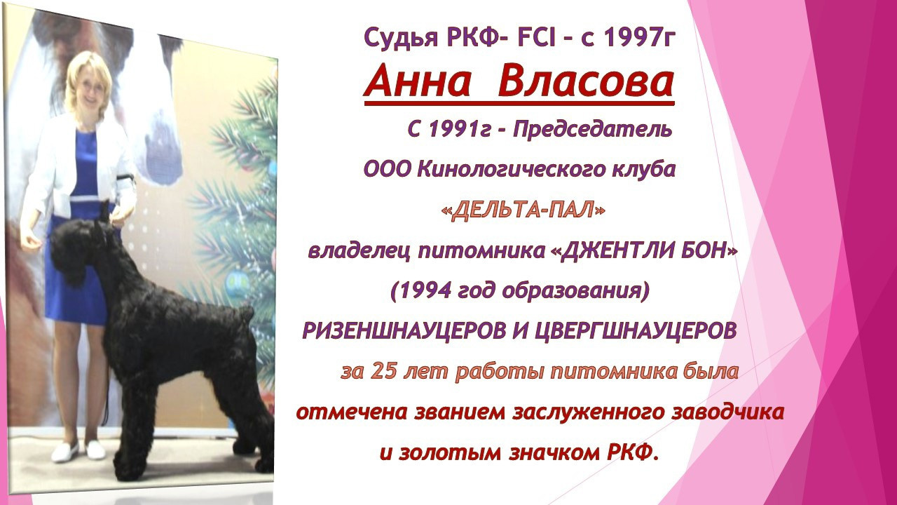 День Открытых Дверей по 🔥ТАНЦАМ с СОБАКАМИ. НРОО КЦ "Собаковод"