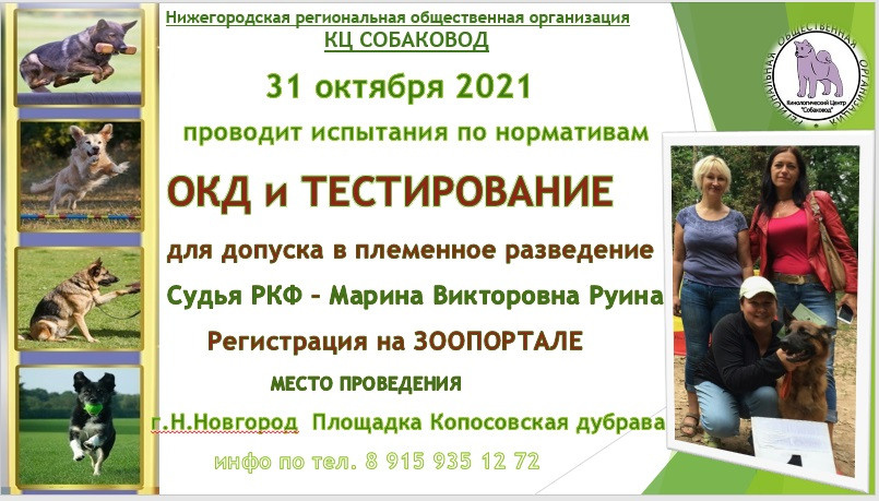 ТЕСТИРОВАНИЕ СОБАК ДЛЯ ДОПУСКА К СОСТЯЗАНИЯМ ПО МОНДЬОРИНГУ. НРОО КЦ "Собаковод"
