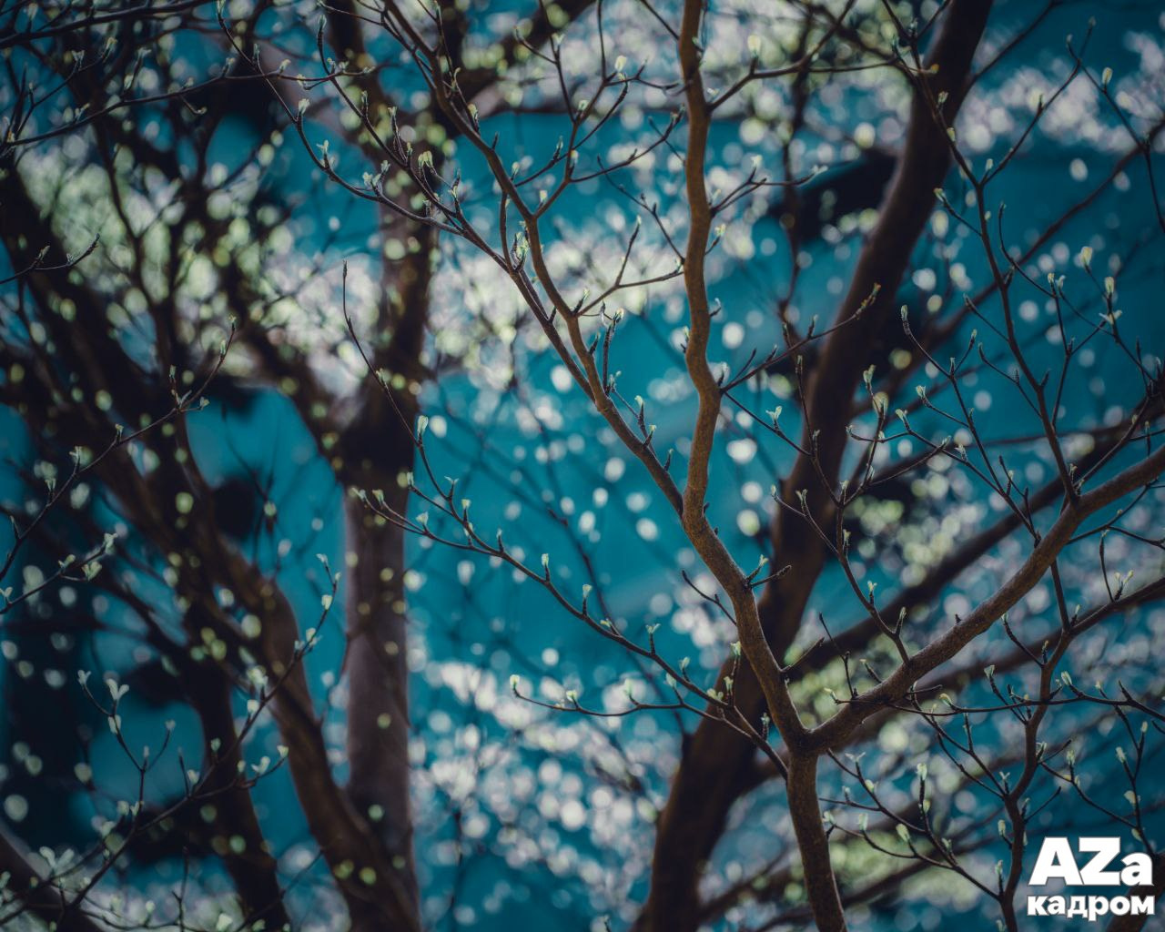 Дыхание весны. Фотоклуб AZакадром. Женский семейный фотограф Тула Москва Захарова Анна