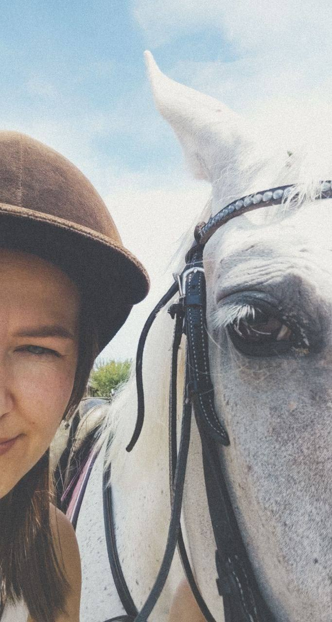 Композиция: основные приемы