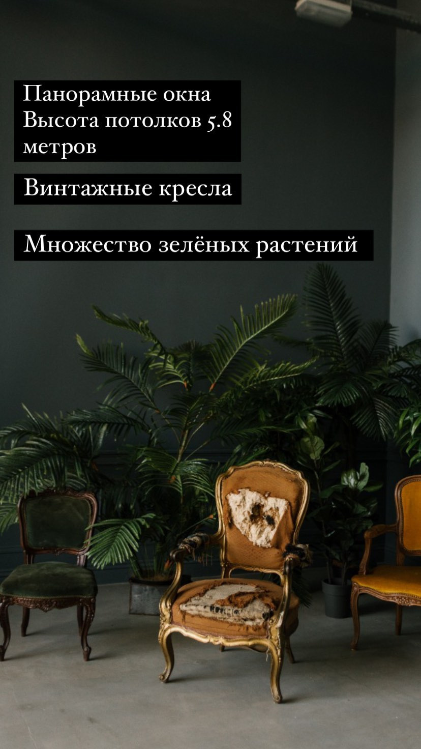 Интерьерная фотостудия Барнаул. Фотограф Опыт Качество Скорость Горный Алтай Барнаул