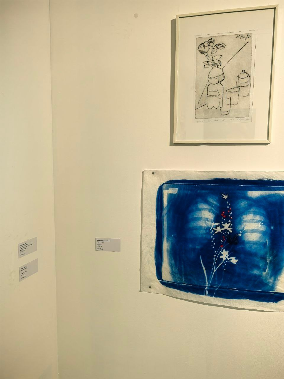 CYANOTYPE. CONTEMPORARY ARTIST OLGA ANDRIYASH