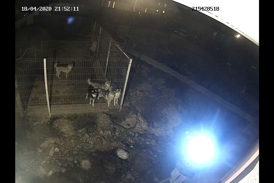 Мой монохромный друг. Plechinta Ekaterina — documentary photographer