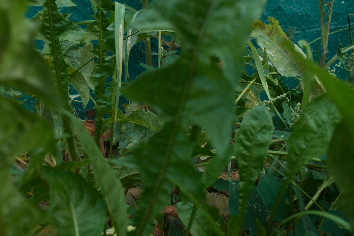 8-9/25. Иван Кобяков