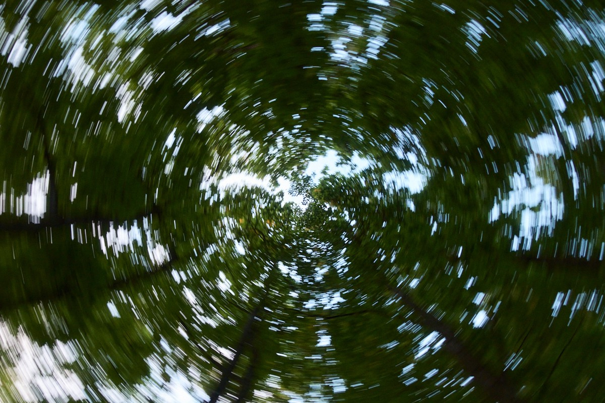 8-9/25. Иван Кобяков