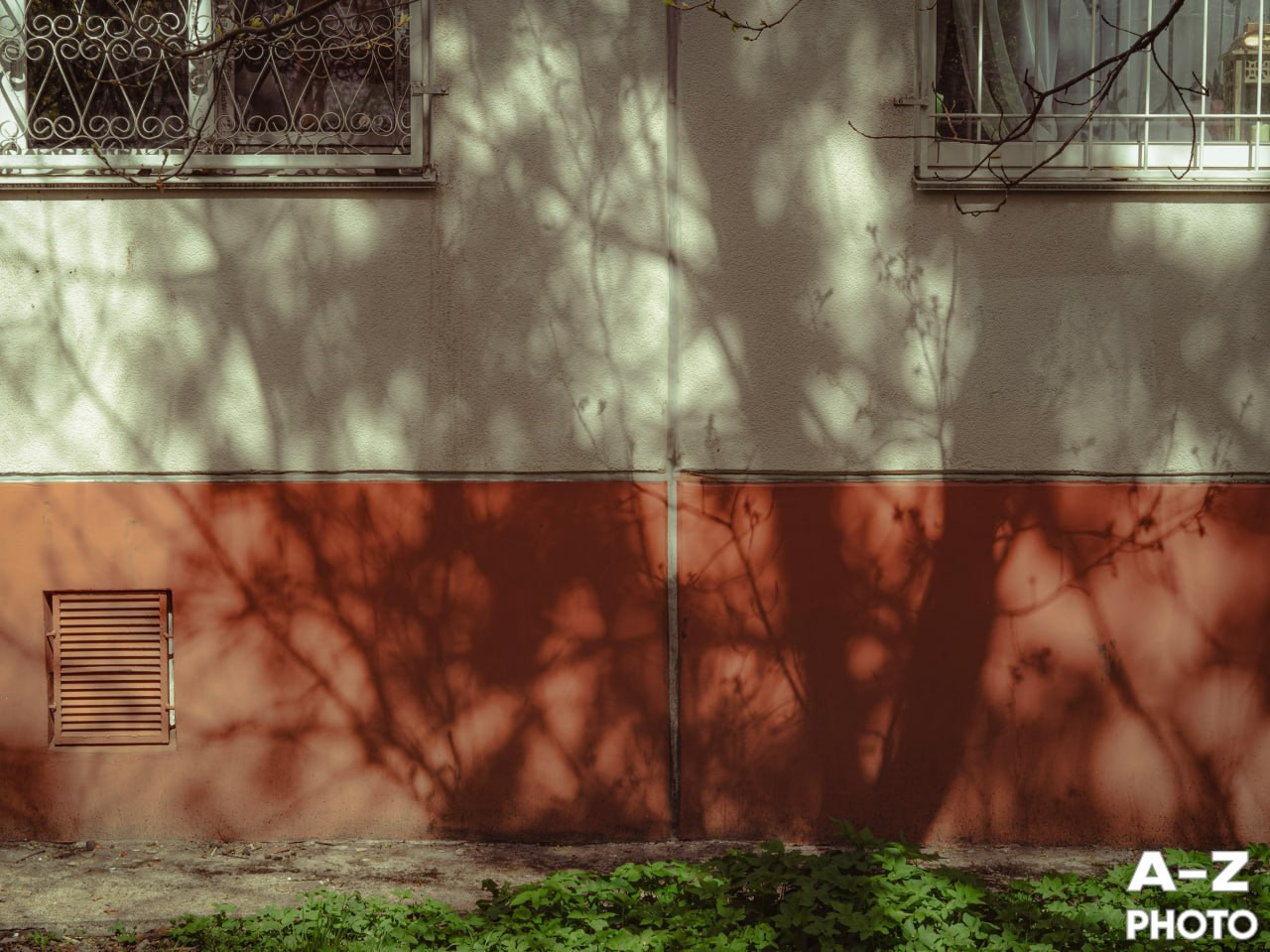#ФОТОНЕДЕЛИ 16.06.2026