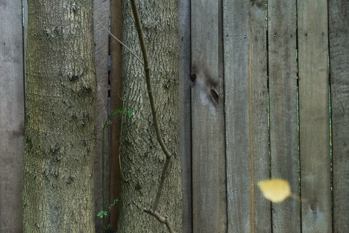 8-9/25. Иван Кобяков