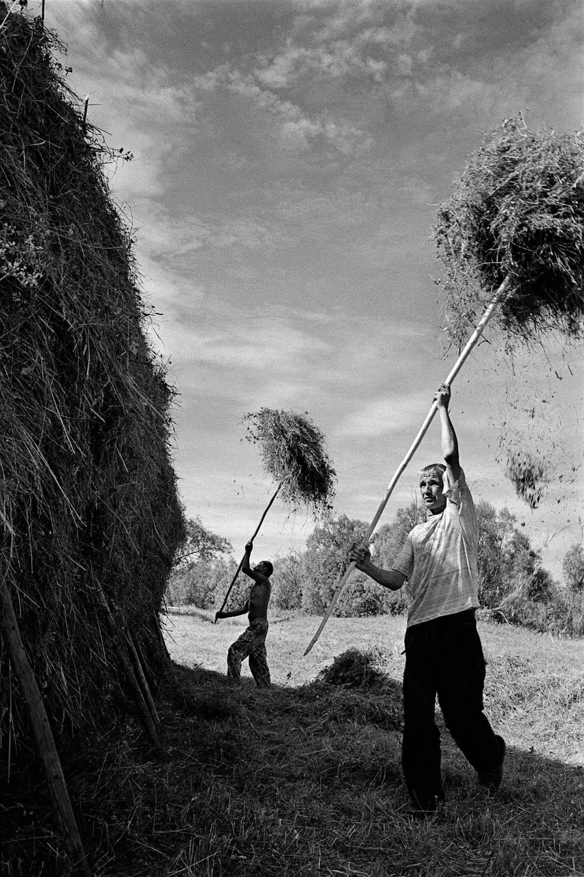 WHERE PINEGA STARTS ITS FLOW. Emil Gataullin