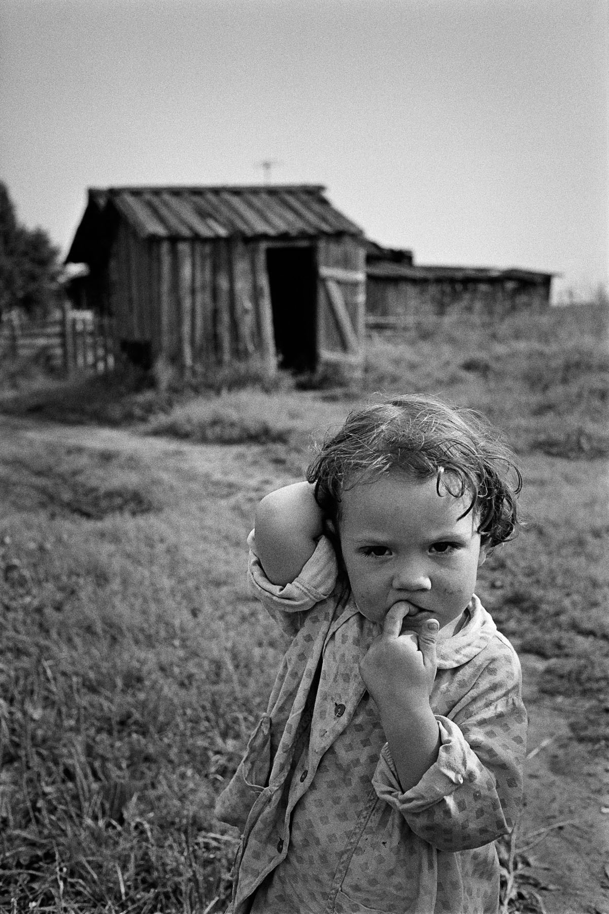 WHERE PINEGA STARTS ITS FLOW. Emil Gataullin