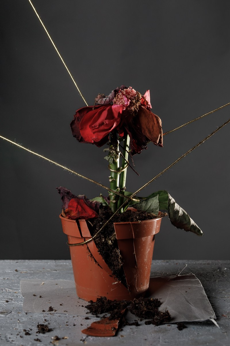 How to eat at night (ongoing). Photographer, Documentary and Art