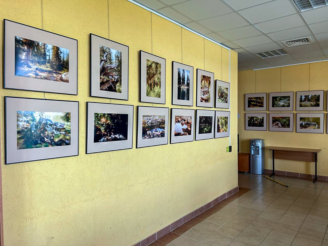 Авторская выставка «Ловец снов». Фотограф в Красноярске Оксана Корчагина