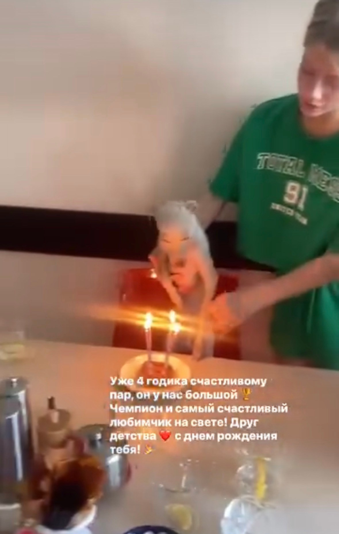 Левретка и ребенок: нежная дружба. Профессиональный питомник левреток РКФ/FCI ASTI SAPPHIRE 💎 Сочи|Санкт-Петербург