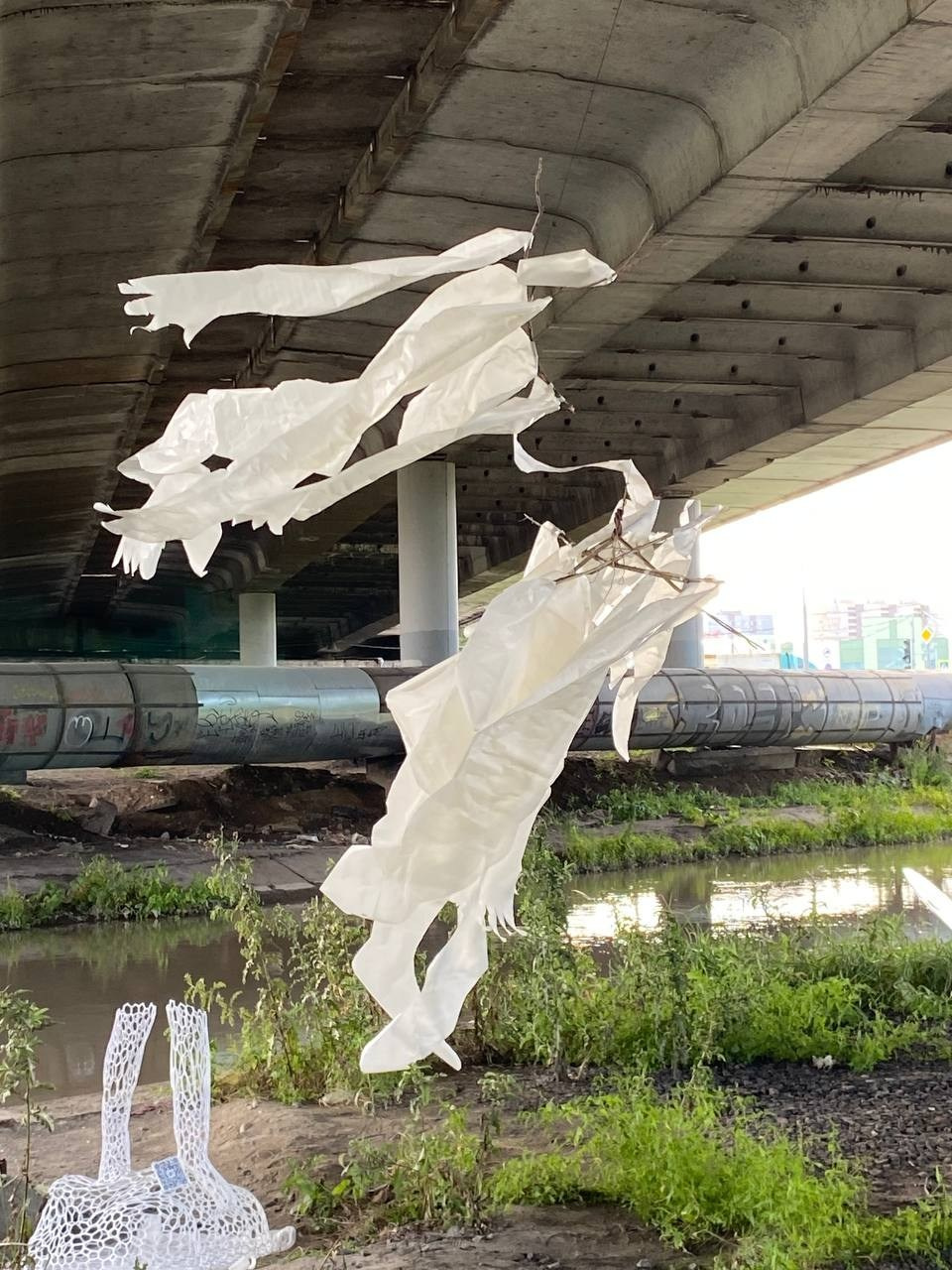 Красненькая биеннале. Санкт-Петербург. Лилия Ким. Междисциплинарный художник