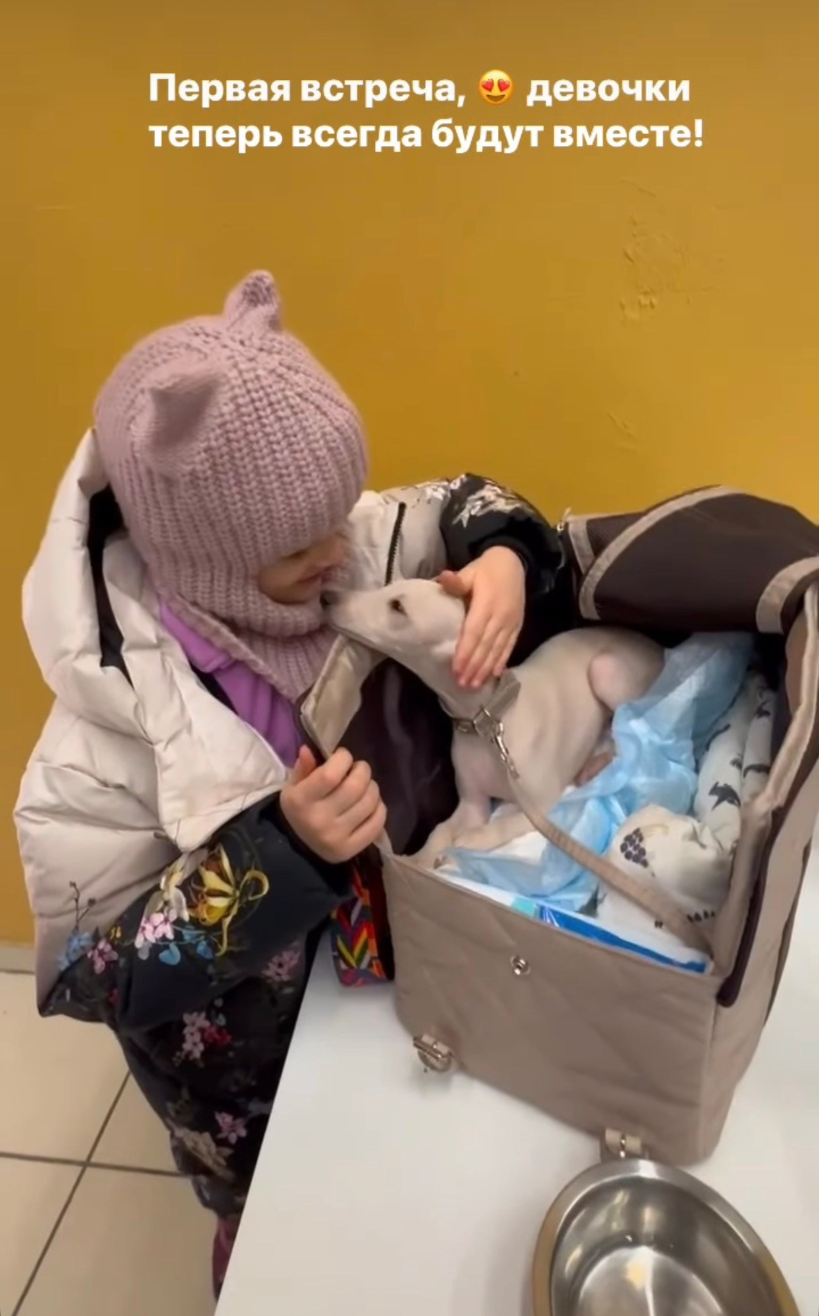 Левретка и ребенок: нежная дружба. Профессиональный питомник левреток РКФ/FCI ASTI SAPPHIRE 💎 Сочи|Санкт-Петербург