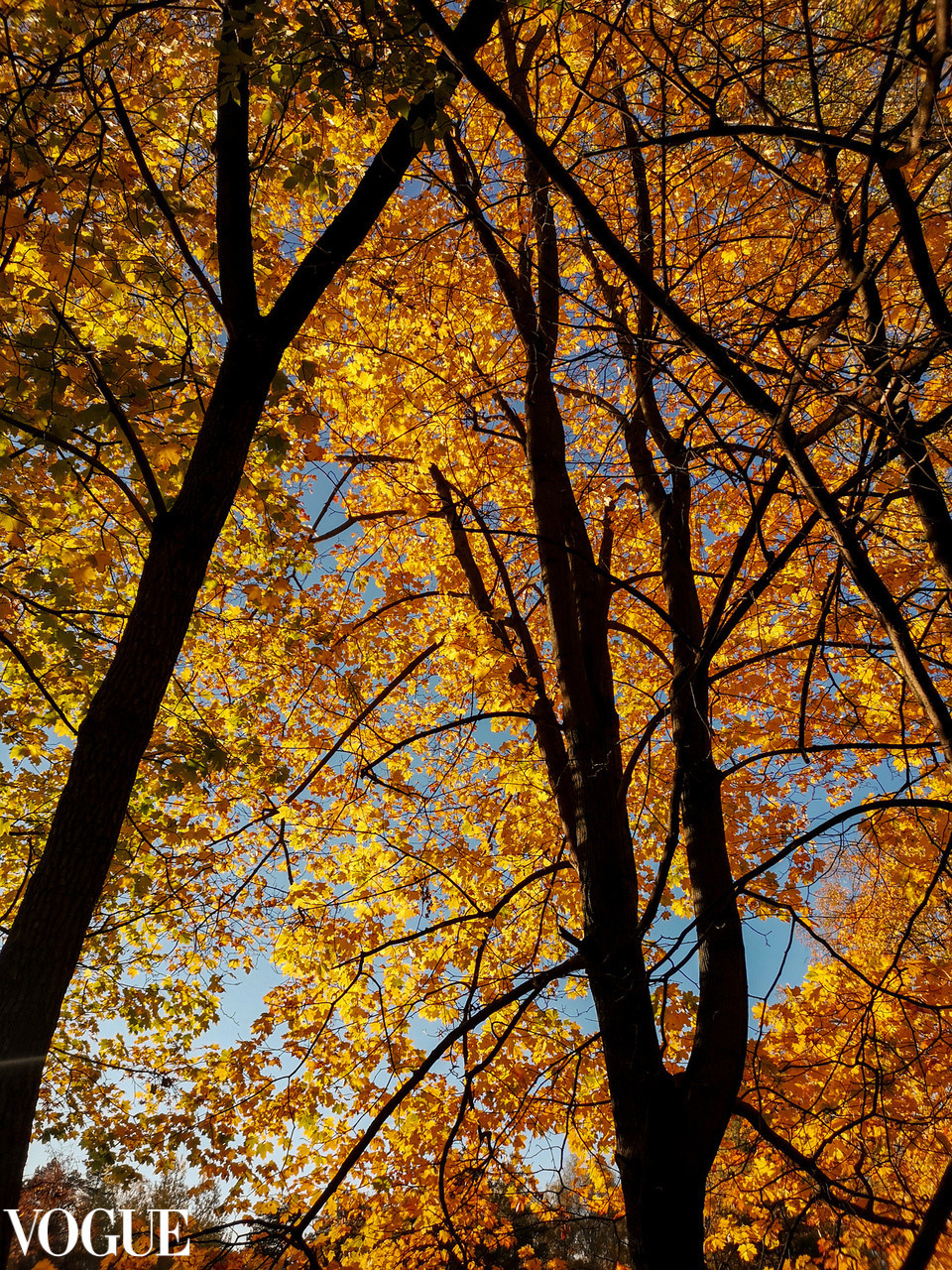 Наталия Фролова. Фотограф. Москва
