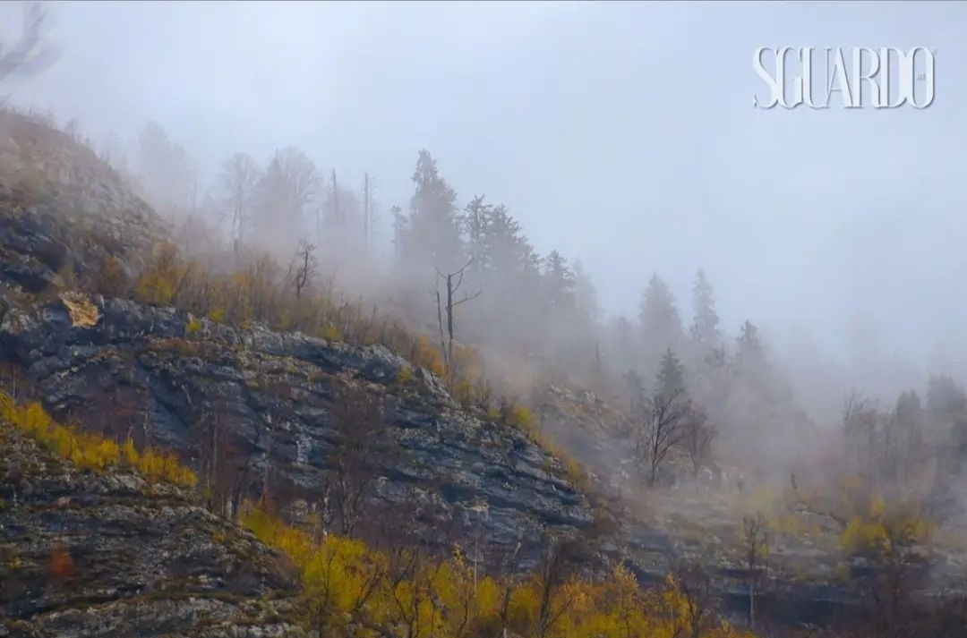 Наталия Фролова. Фотограф. Москва