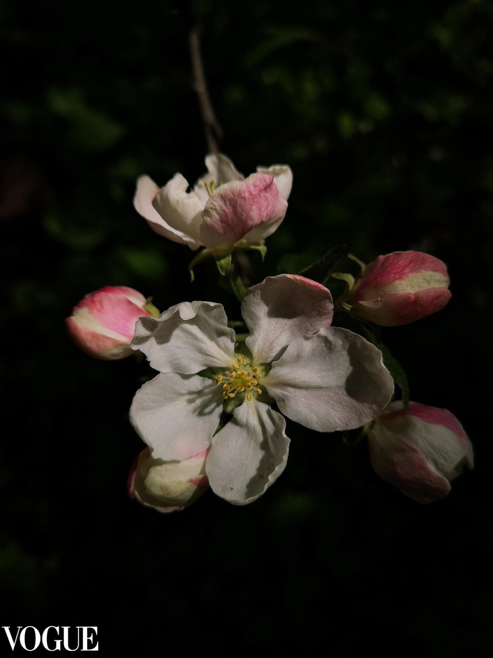 Наталия Фролова. Фотограф. Москва