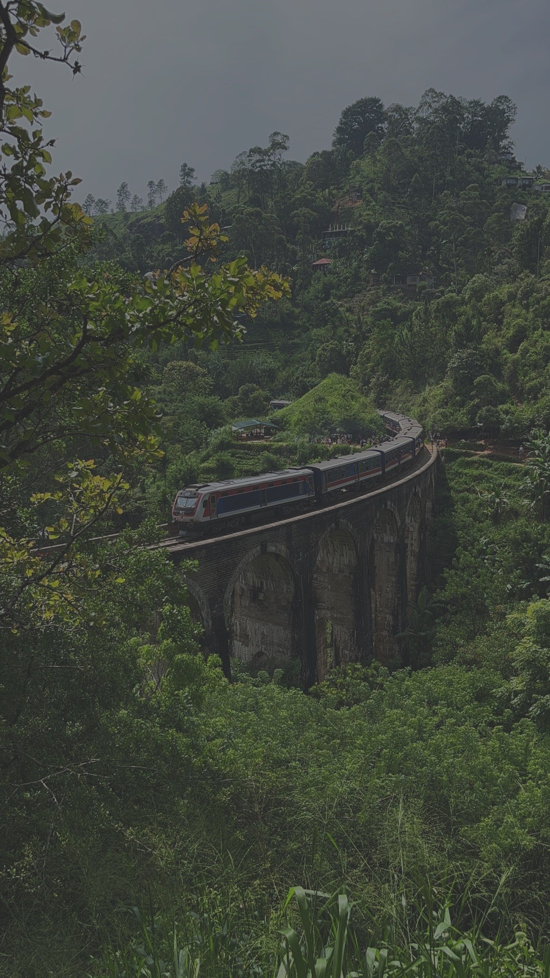 Мини-разбор: Энергия рода и энергия карьеры на периоды жизни. Организация и координация свадебных и семейных торжеств
