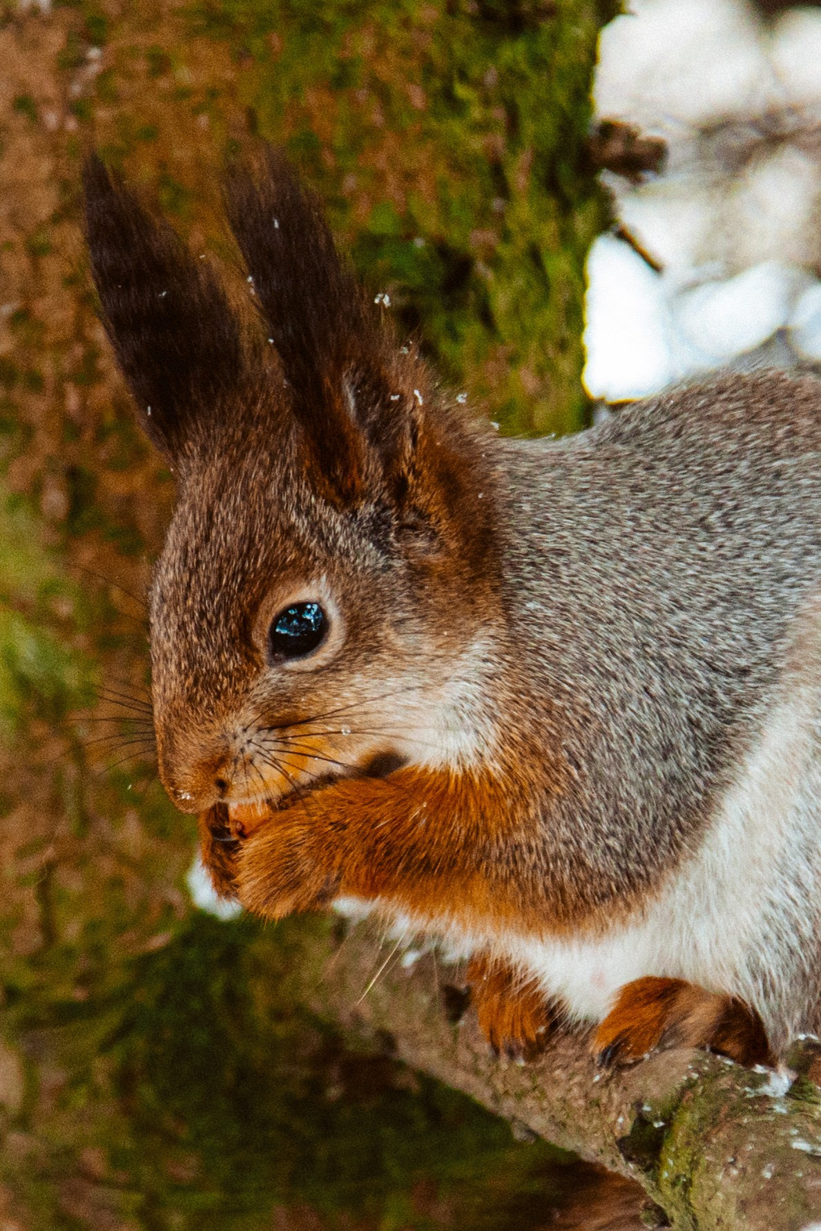 ФОТОСЕССИЯ В ПЕТЕРГОФЕ. ГДЕ СНИМАТЬ В ПЕТЕРГОФЕ