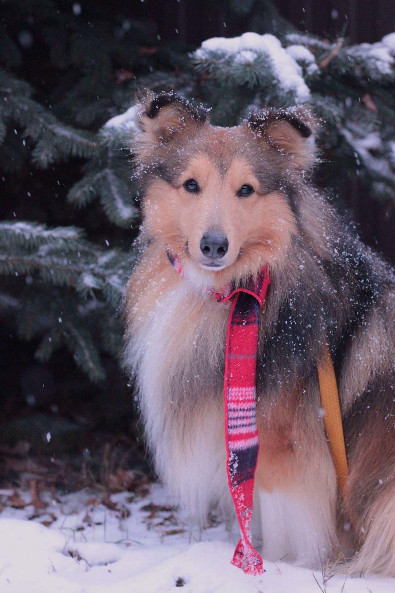 Катя Попова|ЛайфСтайл фотограф