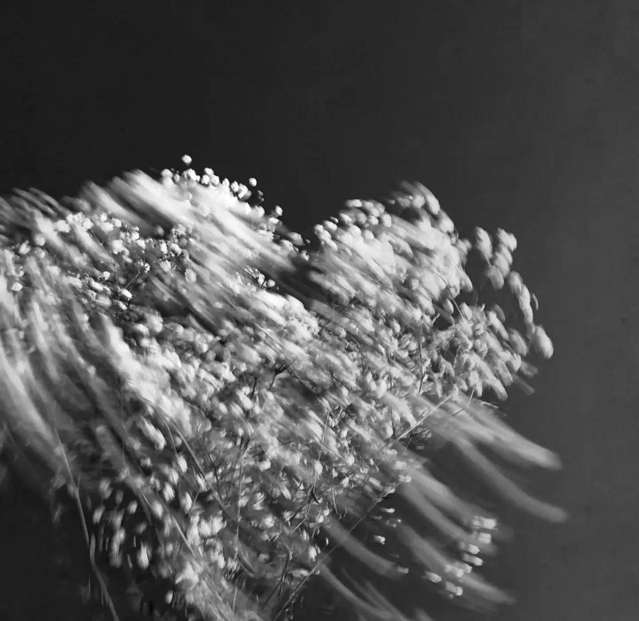 Марафон креативной фотографии. Vladimir Borele Photographer