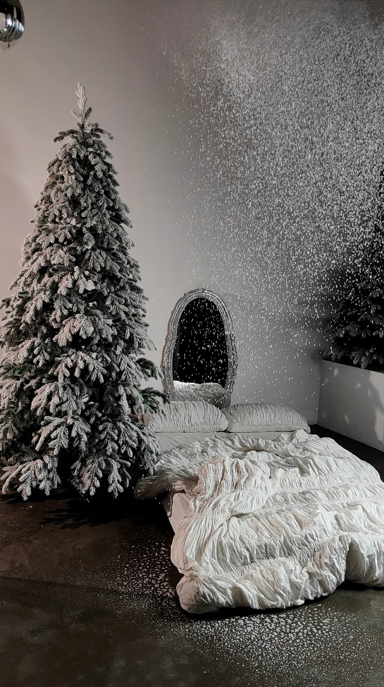 Новогодние залы. Семейный и женский фотограф в Воронеже Ольга Попова