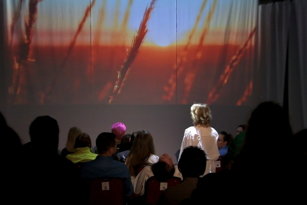 «ГАРШИН-FLY» метаирония. Полёт сознания, режиссёр - Дмитрий Собачкин, Дом Шрёдера