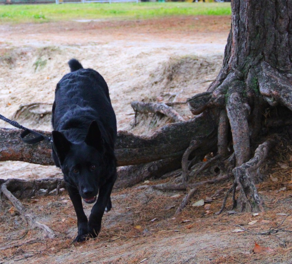 Катя Попова|ЛайфСтайл фотограф