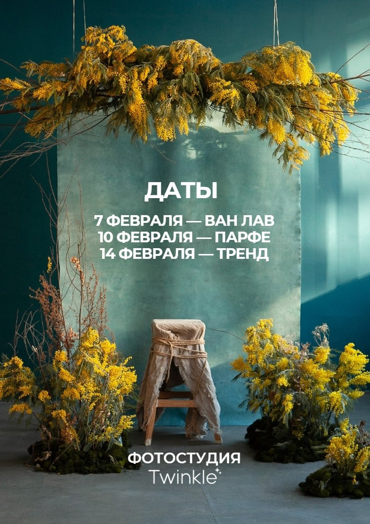 Фотодень с мимозой в студии Санкт-Петербург
