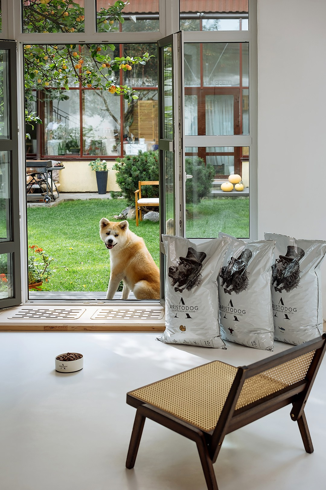 ARISTODOG. Фотограф и видеограф Анна Жагорина