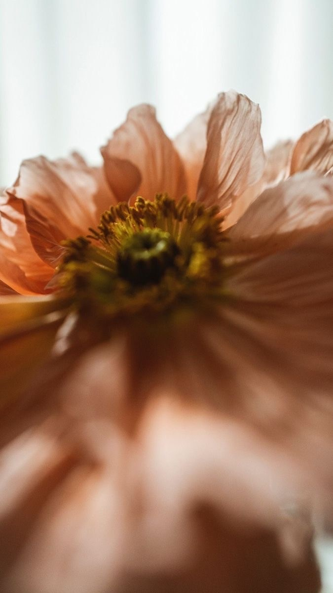 Приглашение на свадьбу