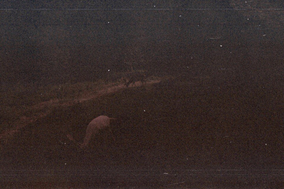 Автор: Степан Завизион