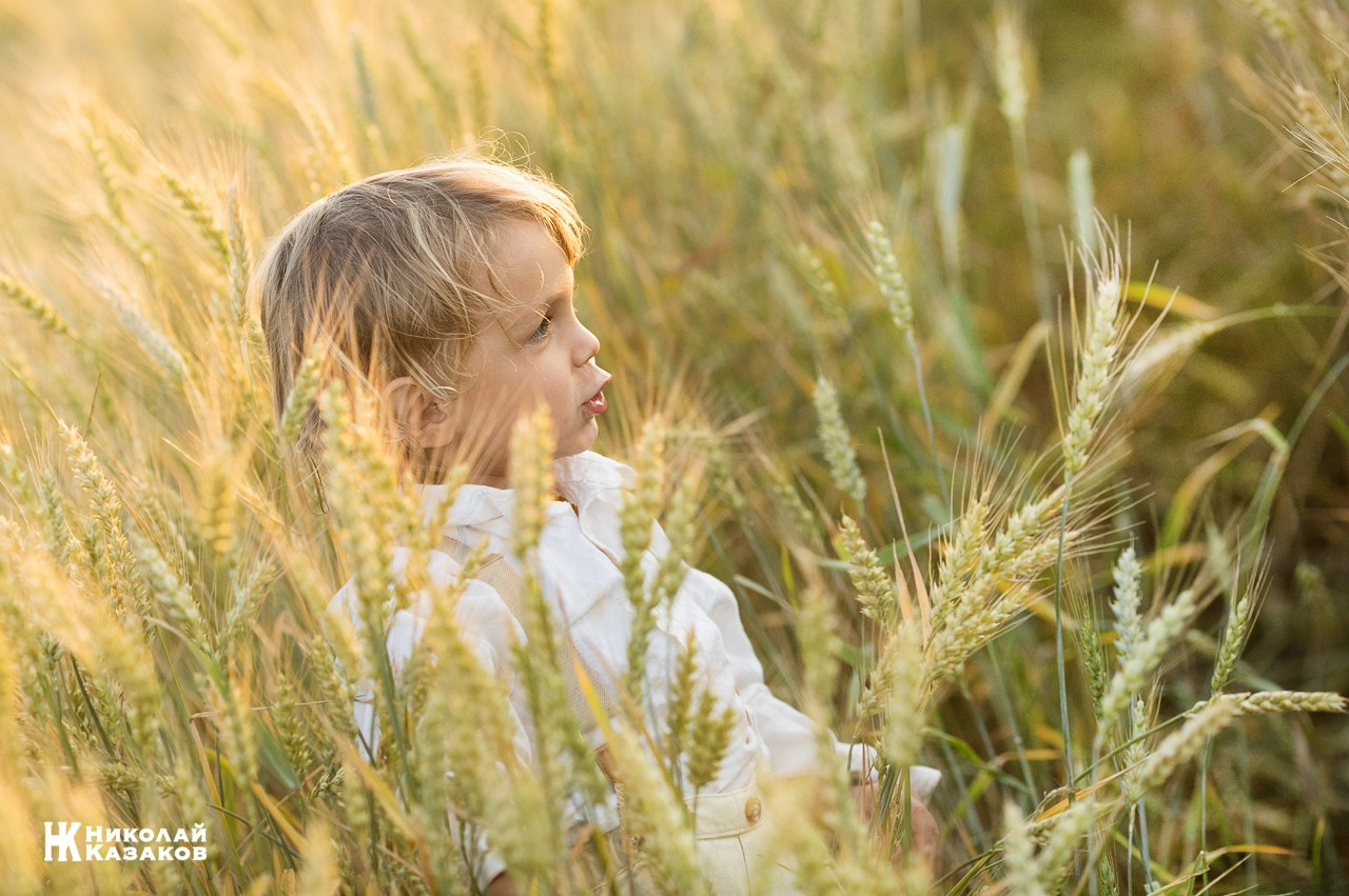 Позитивный портрет маленького мальчика с светлыми волосами в лучах заката, играющий в пшеничном поле во время фотосессии.