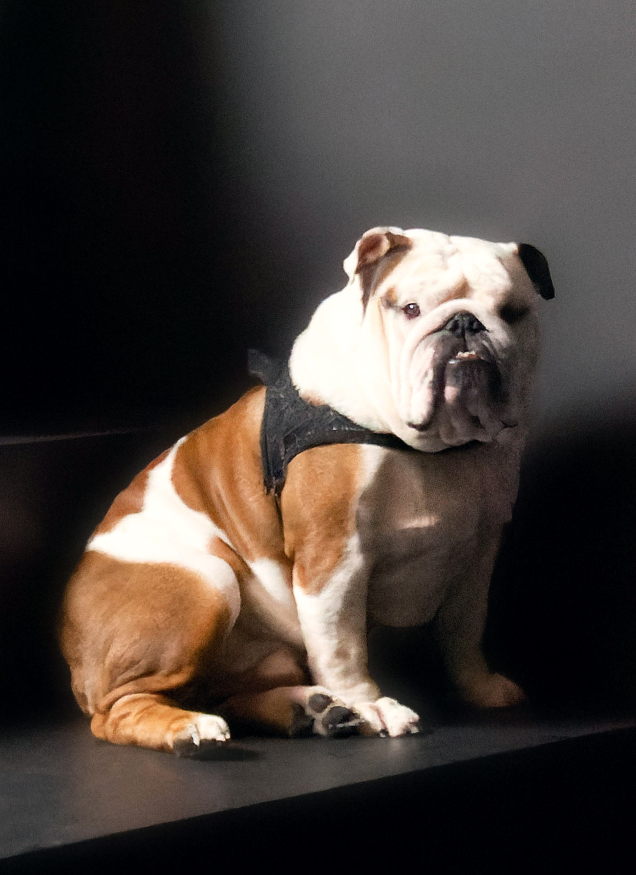 Love story. Strona internetowa fotografki Elly Tev