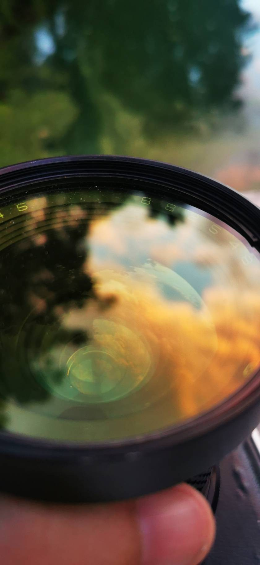 Лефортовский парк — по следам Петра Первого. Купить картину на холсте для интерьера|художник | дизайнер | архитектор Сергей Ратчин в Москве