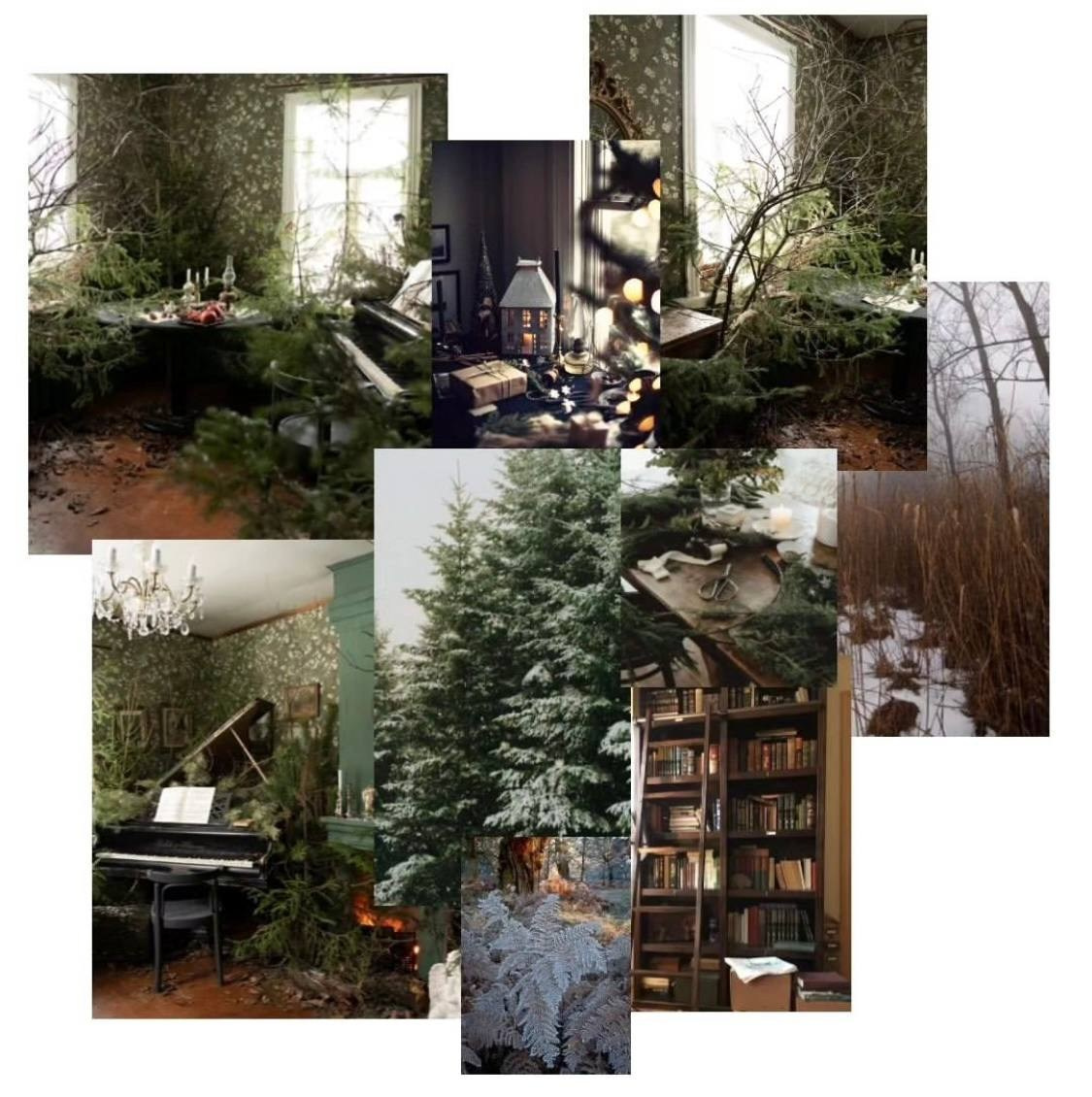 Photo studios. Family and content photographer