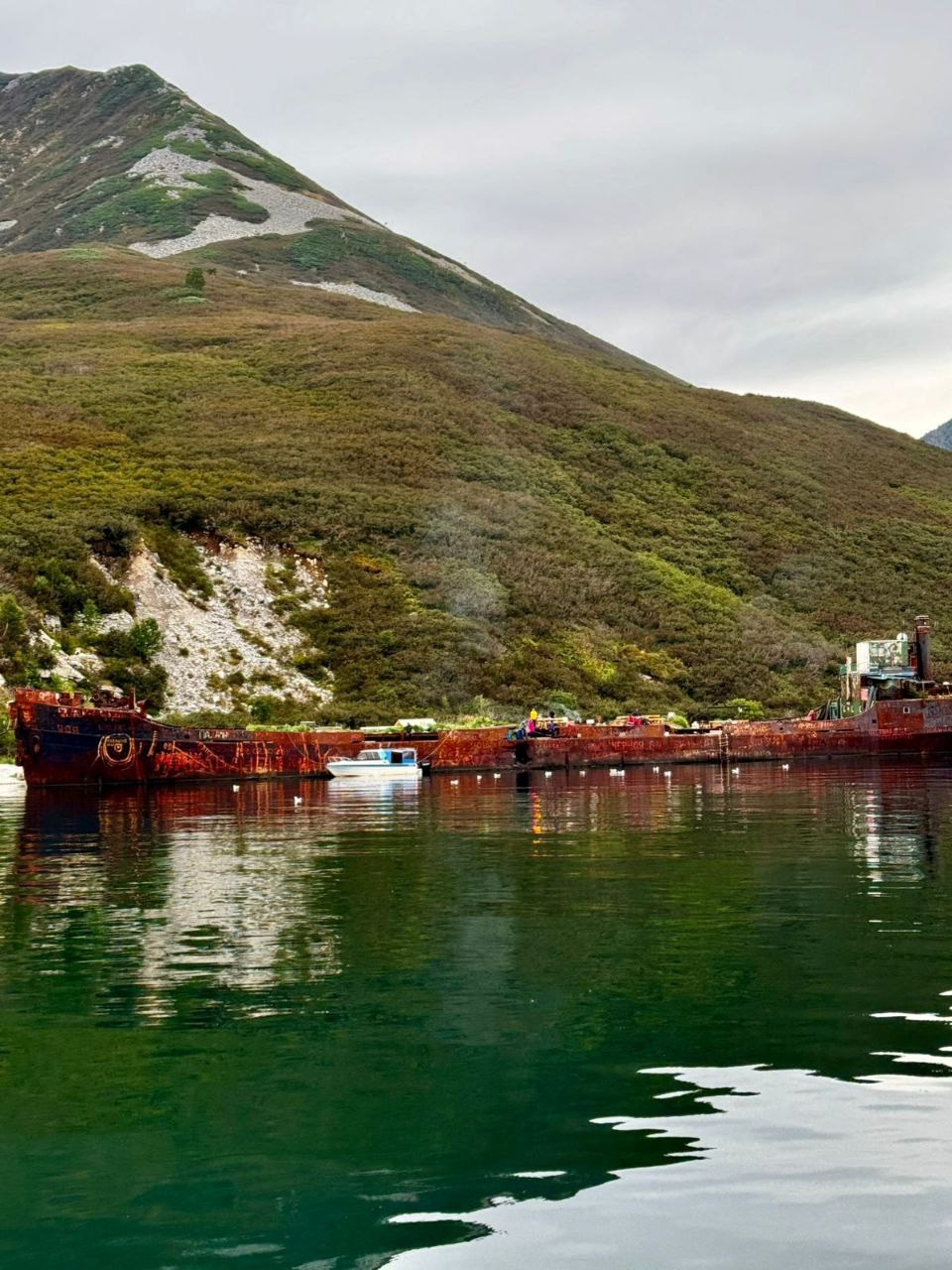 Морская прогулка в бухту Русскую. Экскурсионные туры по Камчатке