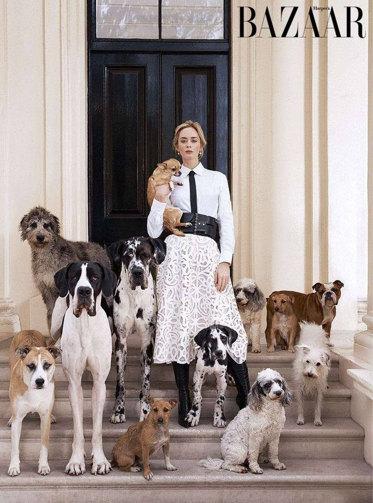 Референсы для съёмок по сниженной цене. Фотограф в Екатеринбурге Татьяна Соколовская