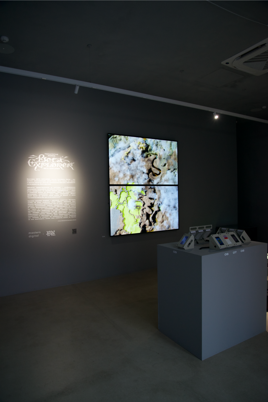 BETA-EXPLORER. Anna Zavediy